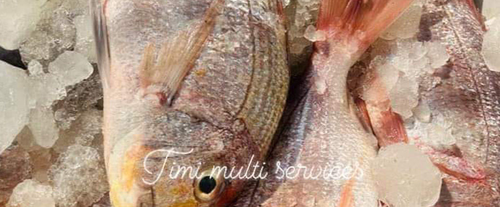 la dorade