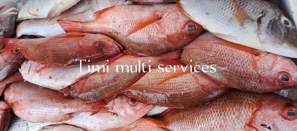 achat poisson Ouagadougou