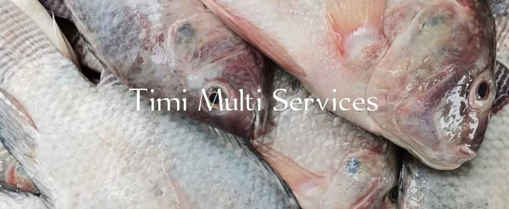 poisson frais à Ouagadougou