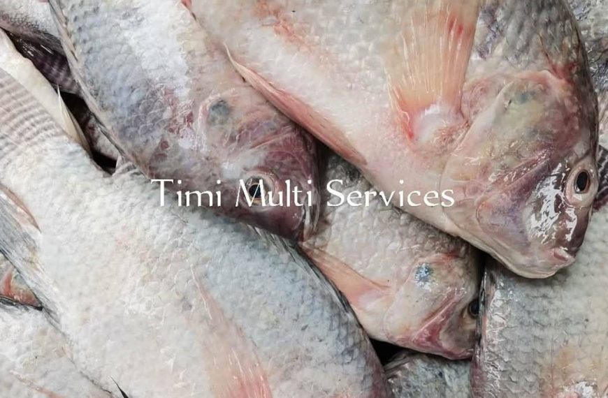 poisson frais à Ouagadougou