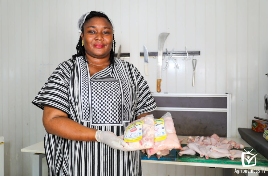 vente poulet en gros a Ouagadougou