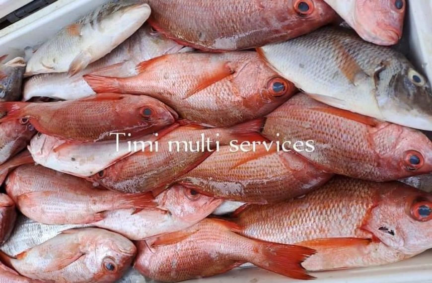 achat poisson Ouagadougou